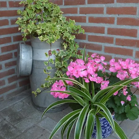 Quaint In Valkenswaard With Terrace Achterste Brug